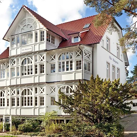 Malepartus - 07 * Binz